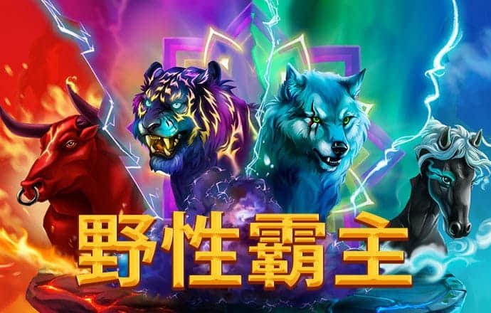 im·电竞(中国)